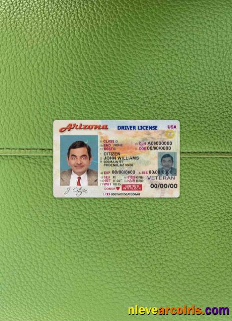 USA Arizona Driver License photolook